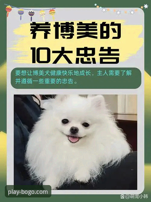 博狗官方网站到底值不值得信赖？老用户亲测分享核心体验
