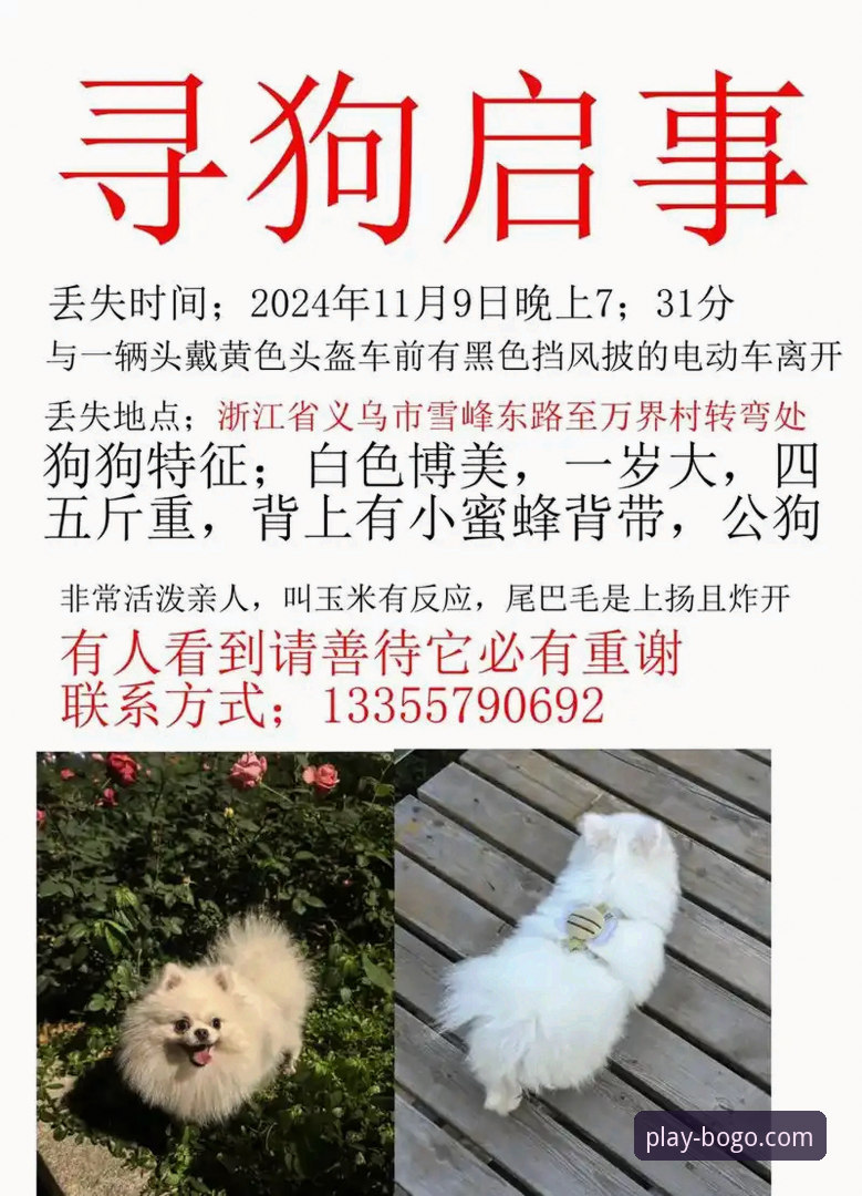 博狗官方下载 揭秘博狗官方下载背后的真相:老用户亲测分享你不知道的事